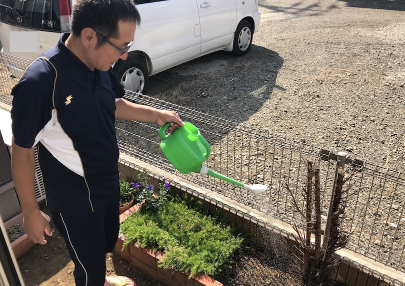 種まきから11日