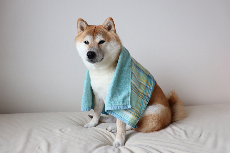 用途に合わせて使い分けても◯