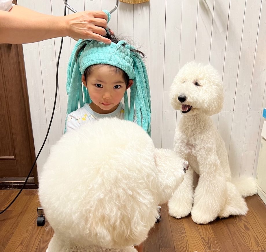 ぱすたお